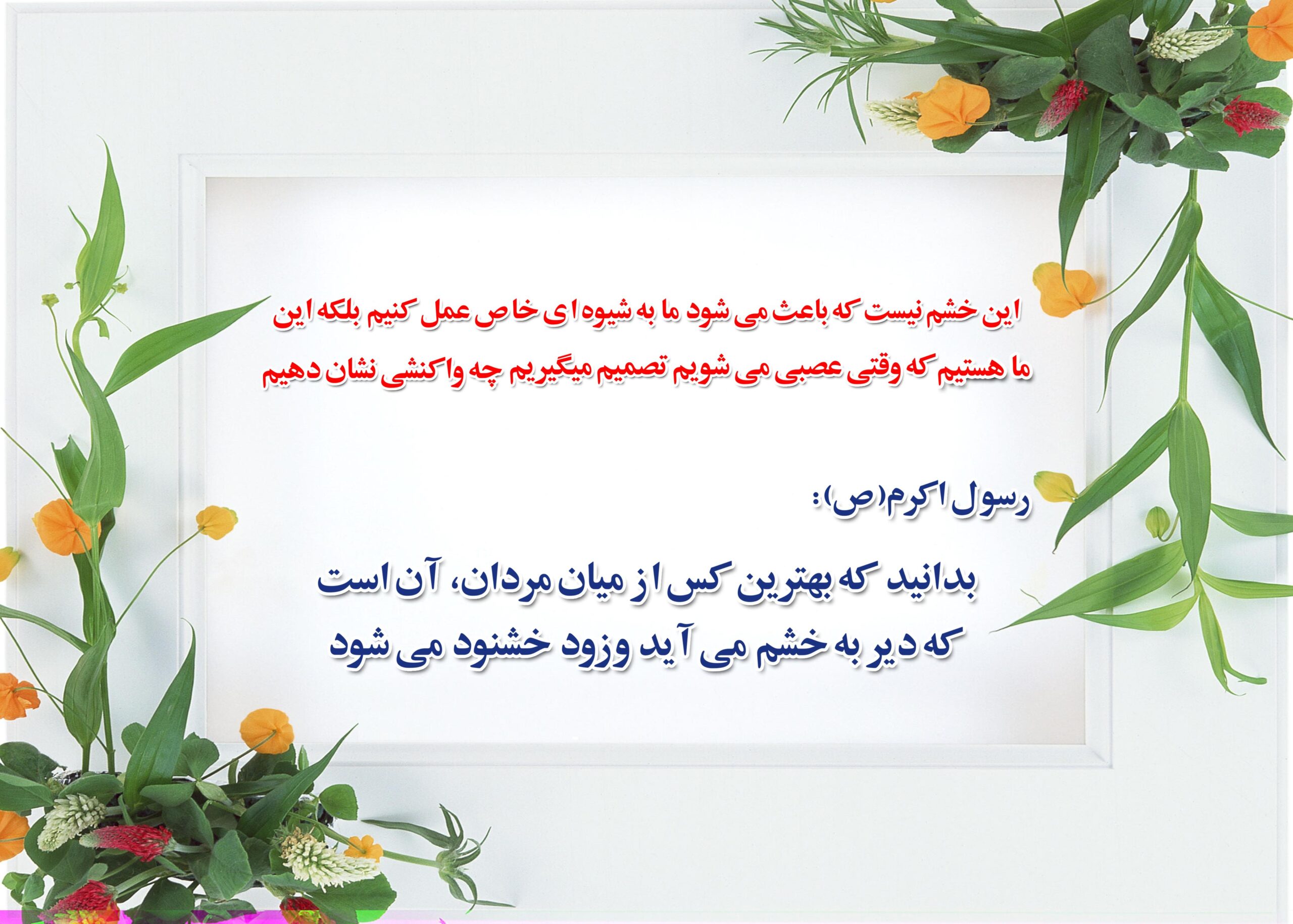 ( رضایت و تعامل در زندگی )