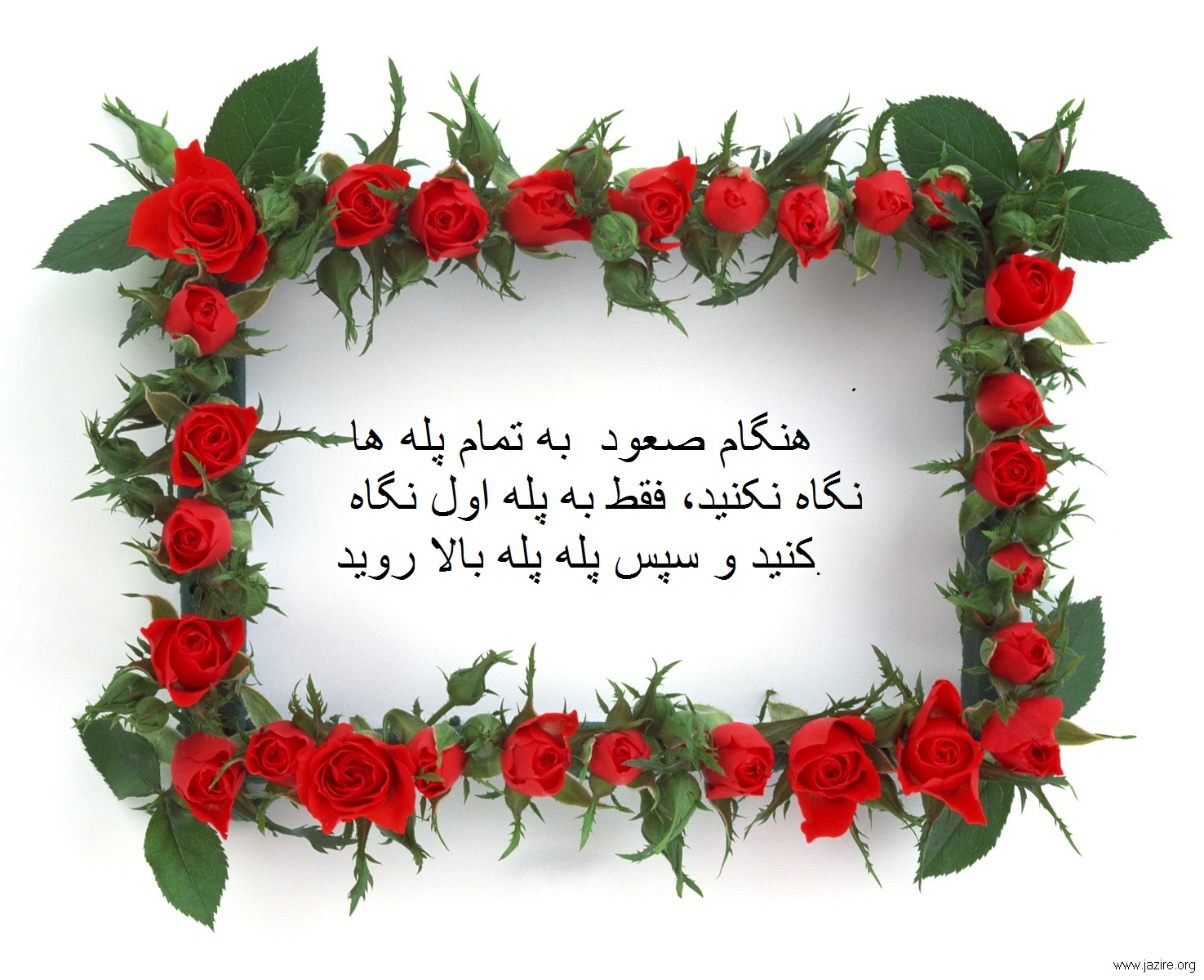 هنر شروع دوباره؛ چگونه بر شکستهای گذشته غلبه کنیم و آینده را بسازیم؟ 1 هنر شروع دوباره